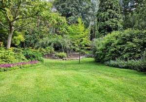 Optimiser l'expérience du jardin à Velieux